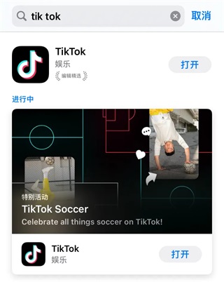 TikTok(图2)