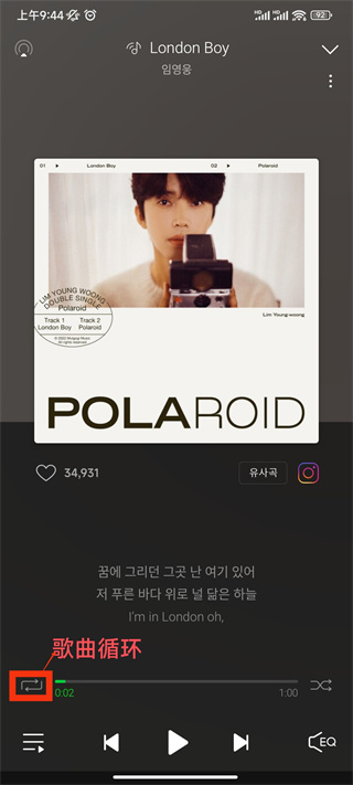 멜론(Melon)(图17)