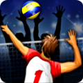 Volleyball Championship排球锦标赛手游版 2.00.13