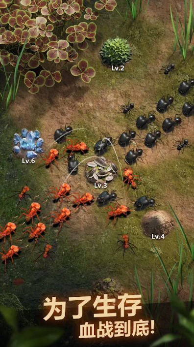 The Ants小小蚁国游戏 The Ants小小蚁国游戏