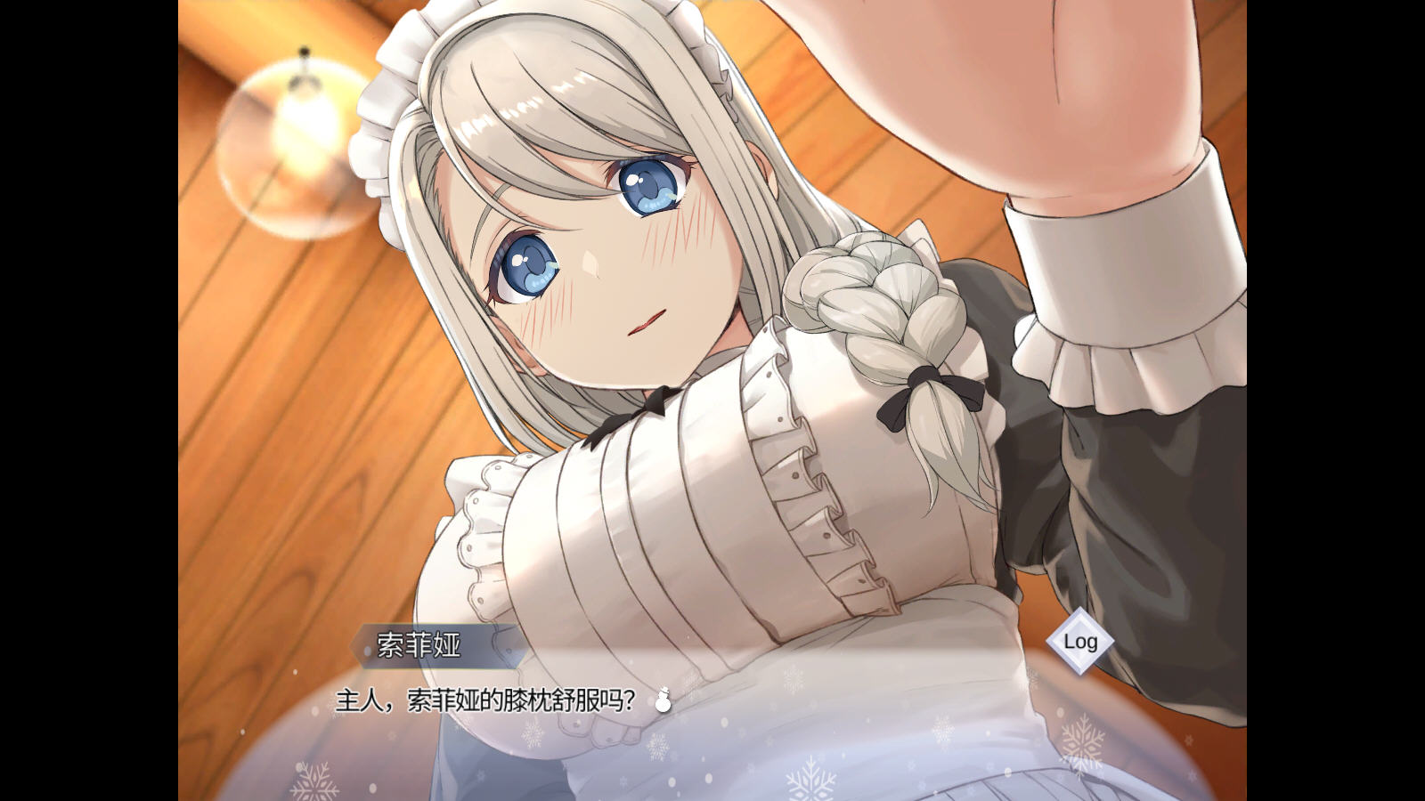 我与索菲娅的秘密汉化版游戏