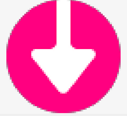 Youtube Downloader c