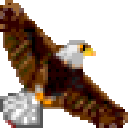 realface上网行为管理软件 绿色版