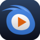 威动服务器电脑版 v2.2.1.5