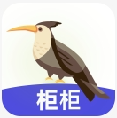 柜柜软件官网电脑版