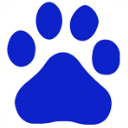 百度知道推广大师免费版 v2.2.0.1官方版