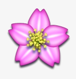 象棋桥官网电脑版 - 下载安装包