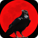乌鸦之霜手游下载