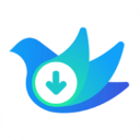 云雀视频下载器app下载