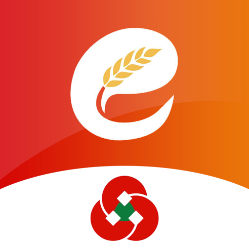 国煤交易平台手机版