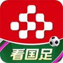 央视频电视版app