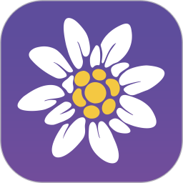 民生保险客户端