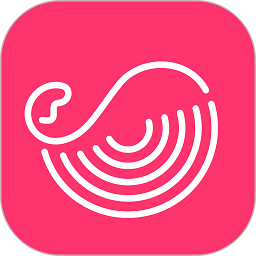 灰豚数据手机版