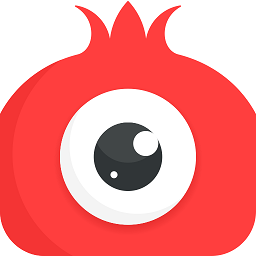 石榴直播平台全新升级版本功能体验全面解析