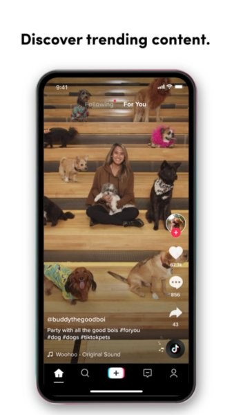 tiktok破解版app下载