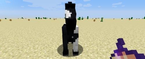 我的世界国际版怎么驯马 我的世界国际版最新版下载