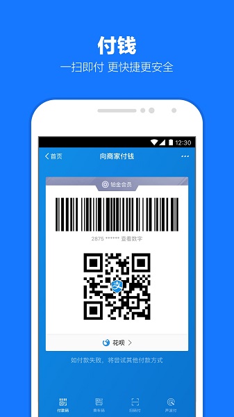 支付宝手表版app下载安装