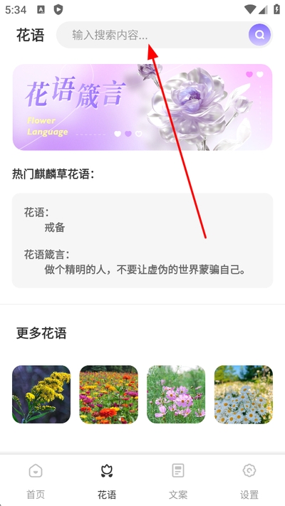洽谈聊天软件