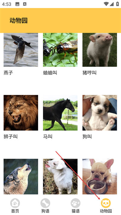 猫狗翻译神器免费版下载