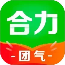 合力团气 2.8.6