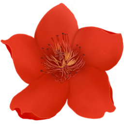 小红花音效助手