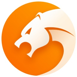 猎豹浏览器 9.0.112.22636