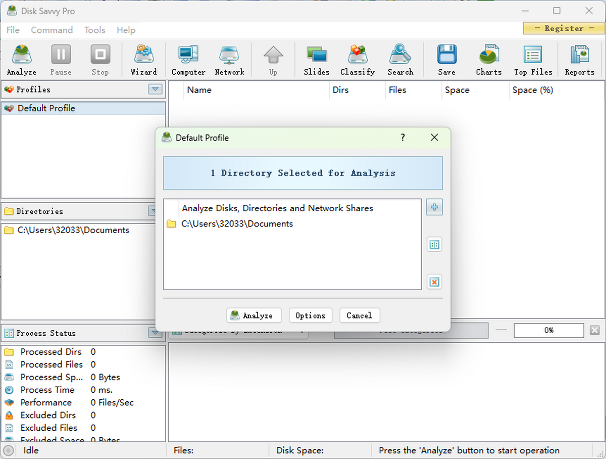 Disk Savvy Pro x64