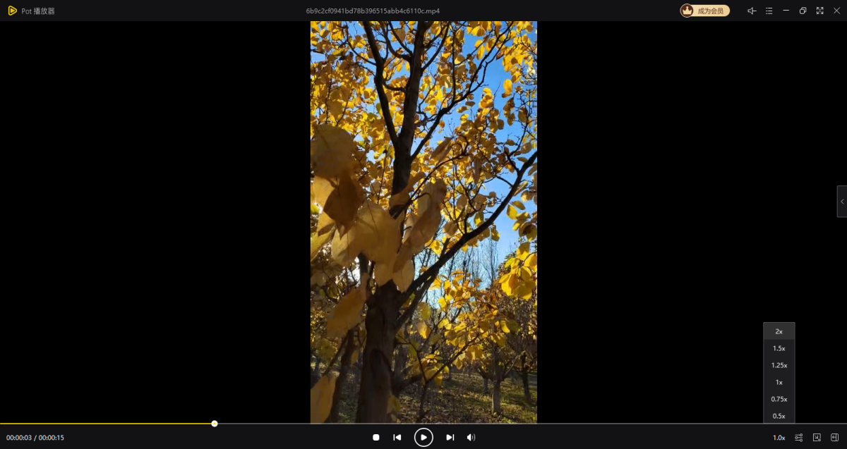 Pot播放器