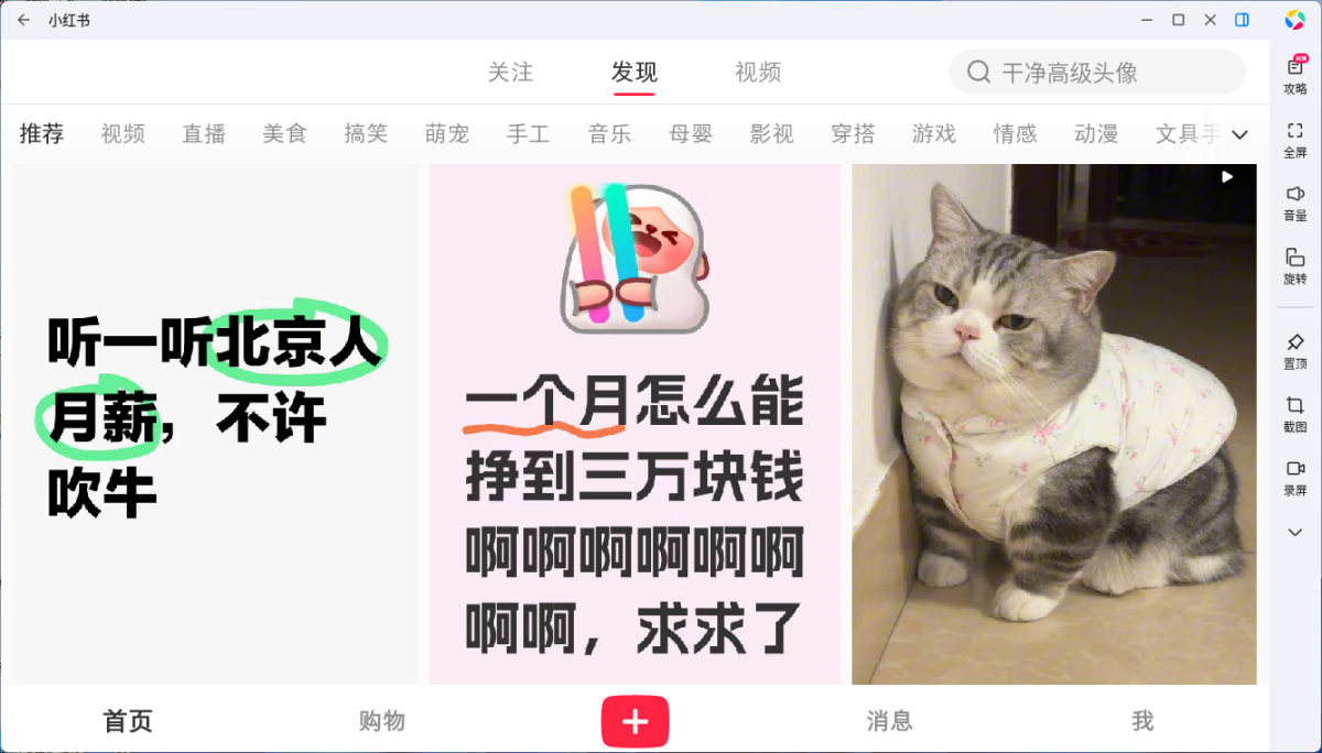 小红书应用电脑版