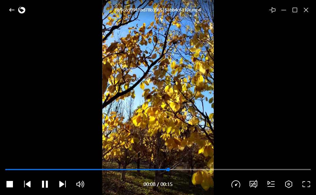 迅雷影音最新版