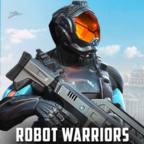 Strange Robot Warrio