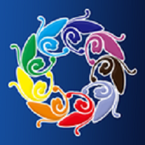 多彩金平融媒app最新版