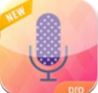 语音变声器app功能全面解析，轻松实现声音变换效果