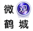 微观鹤城app官方版