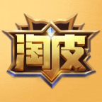 淘皮领皮肤版