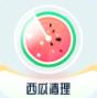 西瓜清理app安卓版