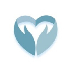 阳光在线司法学习app手机客户端