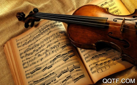 528音乐培训中心手机客户端