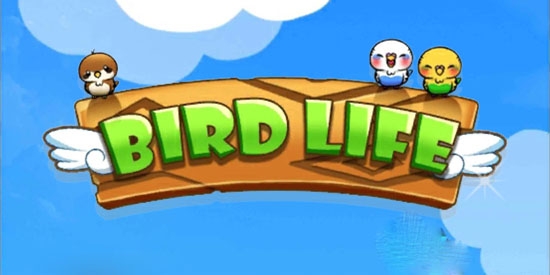BIRD LIFE小鸟生活游戏羽毛使用强加版