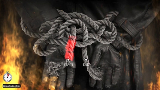 公鸡神探游戏完整版