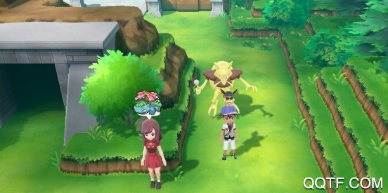 宝可梦大师国际服