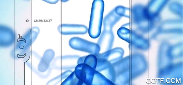 Halo CE光环战斗进化周年版