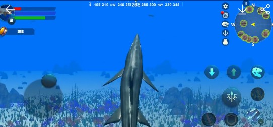 Helicoprion Simulator旋齿鲨模拟器汉化版