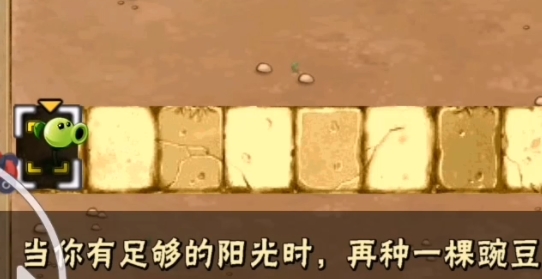 PVZ神秘时空手机版