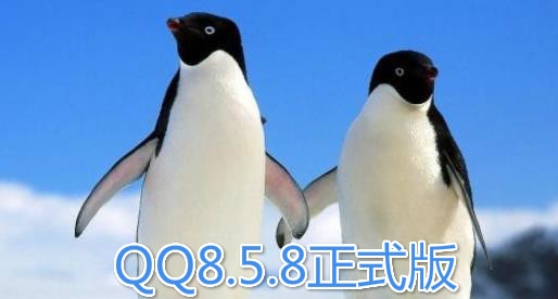 QQ8.5.8正式版