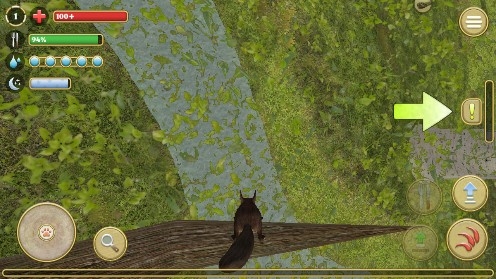 Squirrel Simulator Online松鼠模拟器无限松果版 Squirrel Simulator Online松鼠模拟器无限松果版