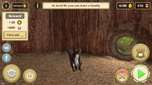 Squirrel Simulator Online松鼠模拟器无限松果版 Squirrel Simulator Online松鼠模拟器无限松果版
