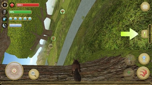 Squirrel Simulator Online松鼠模拟器无限松果版 Squirrel Simulator Online松鼠模拟器无限松果版