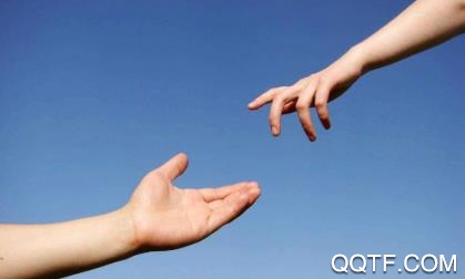 TP社区app官方版