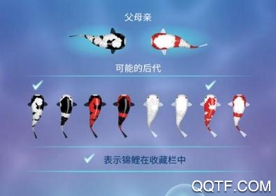 禅宗锦鲤2无需联网单机版 禅宗锦鲤2无需联网单机版